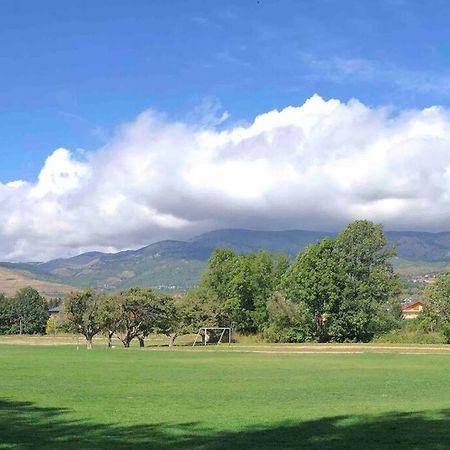 La Cabanita De Llivia, Cerdanya, Puigcerda Apartment Luaran gambar